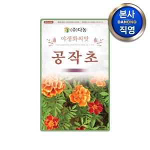 공작초 씨앗 1kg . 조경 정원 화단 꽃밭 관상용 야생화 키우기 꽃씨 종자
