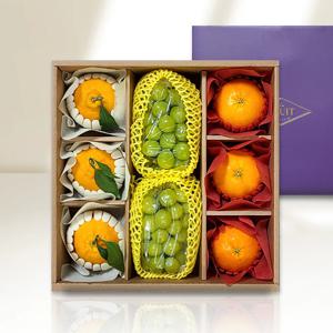 명품 과일세트(한라봉+레드향+샤인머스켓)