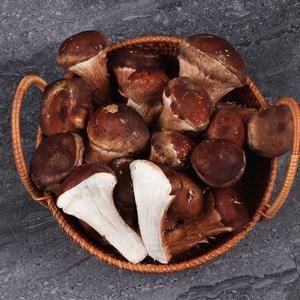 무농약 국내산 참송이버섯 가정용 500g/1kg