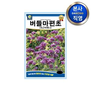 버들마편초 숙근 버베나 씨앗 200립 . 보라색 야생화 조경용 식물 꽃 꽃씨