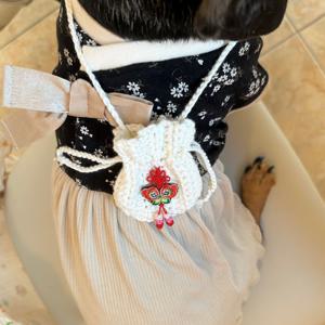 강아지복주머니 핸드메이드 뜨개 세뱃돈 용돈 가방