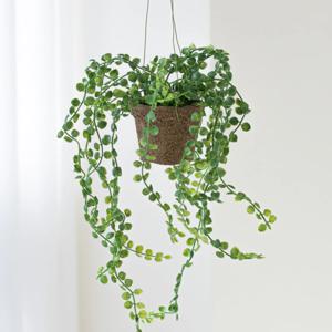 행잉 스톤 넝쿨 조화 화분 _ 디시디아