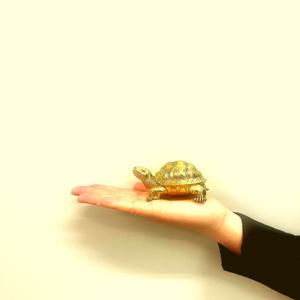 황금거북이  풍수 무병 장수 집들이 인테리어 금도금