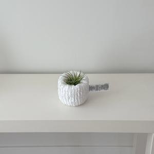 링클 팟커버 이오난사 오브제 미니화분