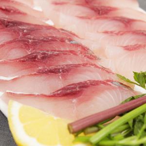 강진 산지직송 제철 숭어회 300g+4종소스 외