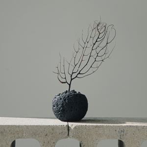 흑산호초 오브제 테라스톤볼