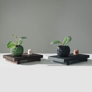 청페페 곰곰이 테라스톤볼