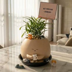 나한송 기영이 팻말 고양이피규어 승진 축하 기념일 생일 화분