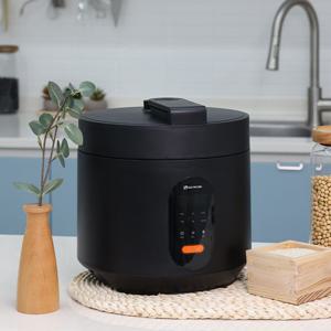 전기 멀티 압력 쿡 DWIH-BL4554