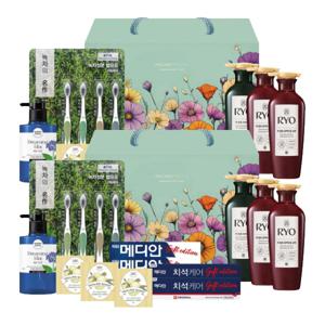 선물세트 다온 2호 x2