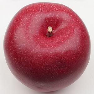 사과 모형 레드 8.2cm 모조 과일모형