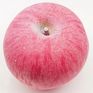 사과 모형 7.5cm 모조 과일모형