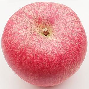 사과 모형 8cm 모조 과일모형