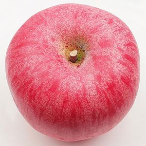 사과 모형 7.9cm 모조 과일모형