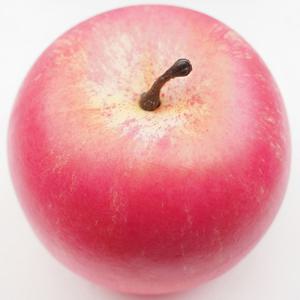 사과 모형 8cm 모조 과일모형