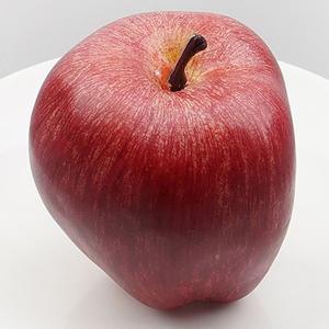 사과 모형 8.5cm 모조 과일모형 WR