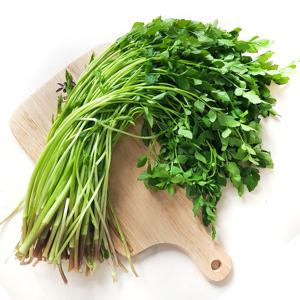 [산지직송] 아삭향긋한 청도 미나리 200g / 400g / 1kg 실중량