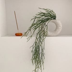 립살리스 행잉플랜트 행잉식물 조화