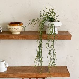 립살리스 조화 화이트 세라믹 화분