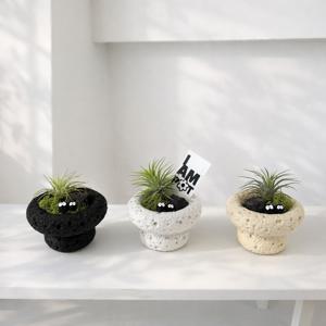 이오난사 스톤팟 세트 키우기쉬운 식물 거실 인테리어