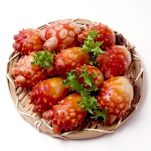 [산지직송] 26년산 통영 활멍게 2kg 14~24미 외