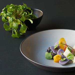 이퀴녹스 찬접시/공기/대접 모음전