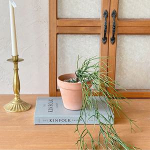 립살리스 폭스테일 조화 화분 세트 2colors 이태리 토분