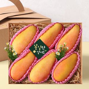안다미로 태국 마하차녹 무지개망고선물세트(5-8과)