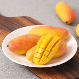 태국 무지개망고 마하차녹 7~10과(총 2.7kg이상)