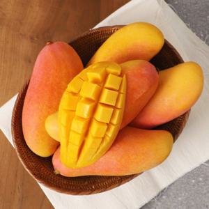 태국 무지개망고 마하차녹 8~12과(총 3.3kg 이상)