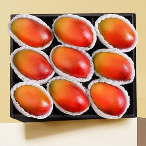 브라질산 애플망고 9과 선물세트 3.8kg내외