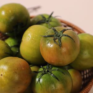 제철 대저 토마토 1kg(대과/L~M)