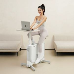 모노바이크 접이식 미니 헬스사이클