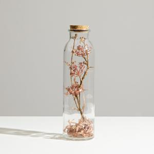 미카 당근꽃 드라이플라워 화병 SET