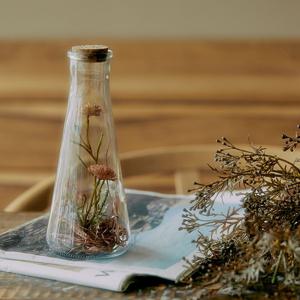 미카 드라이플라워 화병 SET 타입 B