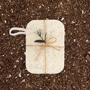 롬에코 모리 천연 수세미 제로웨이스트 생분해 친환경 루파수세미