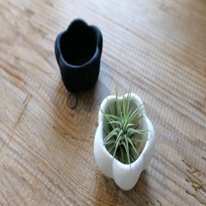 튤립홀더 이오난사 틸란드시아 공기정화 오브제 선물 반지 트레이 제스모나이트