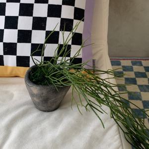 시들지않는 그린인테리어 립살리스 조화 포트