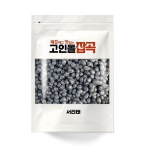 25년 국내산 검정콩 서리태 500g