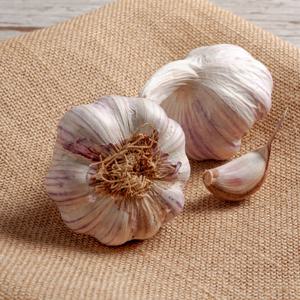 황토밭에서 자란 서산 통마늘 1kg 대서마늘