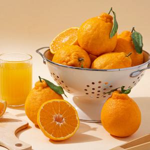 제주 서귀포 노지 한라봉 (혼합과) 3kg