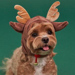 강아지모자 고양이 코스튬 악세사리 순면 애니멀캡 (DG403)