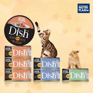 프리미엄 고양이캔 디쉬 85g x 24캔 3종 모음 고양이간식