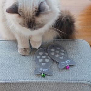 고양이 붕어빵 캣닢 장난감