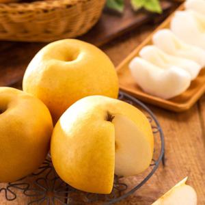 [산지직송] 나주 아삭달콤 신고배 3kg 중과 외 4.5kg 실중량 사이즈 선택