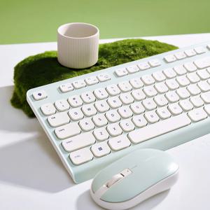 체리 DW2380 키보드 마우스 패키지, 멤브레인 (화이트,핑크,그린)