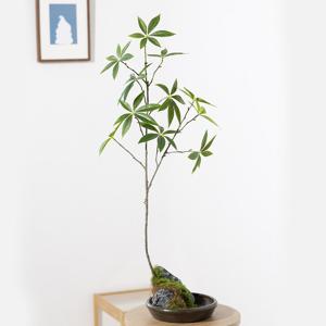 파키라 가지조화 옹기 코스터 set 75cm 인테리어 조경 장식 소품