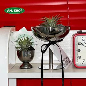 이오난사 실버 고블렛 오브제 SET 스테인리스 틸란드시아 인테리어 식물 스텐 소품