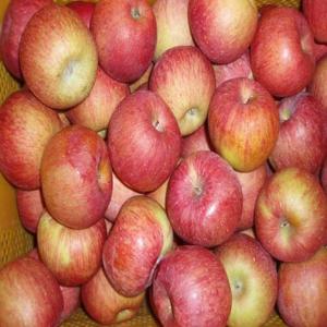 주왕산 털보네 맛있는 꿀부사 흠과