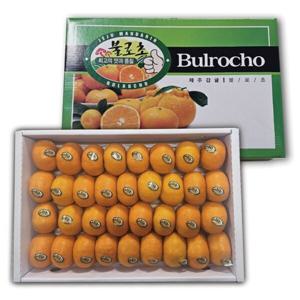 (신세계의정부점)불로초감귤 12.5brix이상 3kg